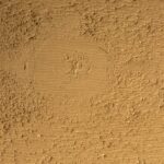 Seminole Cedar