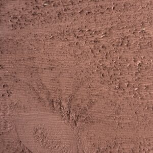 Seminole Brown stain on rough sawn pine