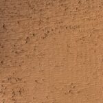 Seminole Arizona Cedar